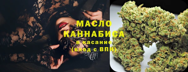гидра Заволжск