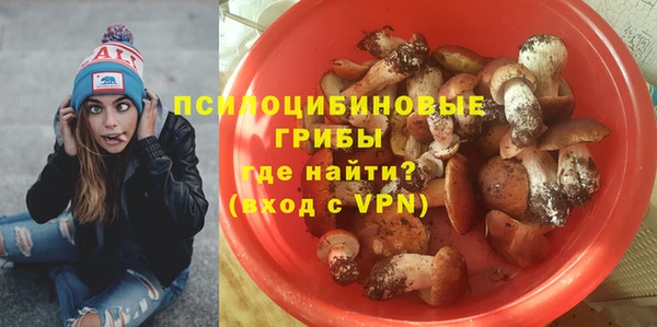 соль курить ск Ельня
