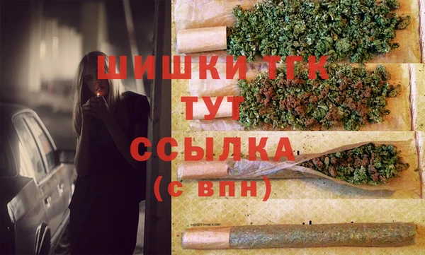 ECSTASY Пестово