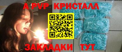 молекула духа Кингисепп