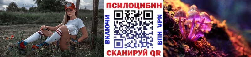купить закладку  Рузаевка  Галлюциногенные грибы Psilocybe 