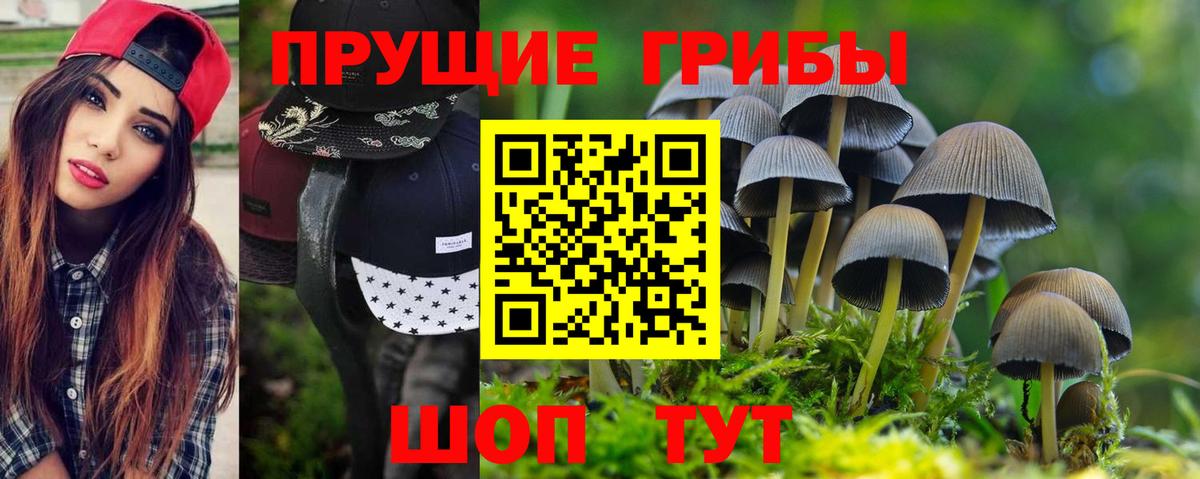 Галлюциногенные грибы прущие грибы  Псилоцибиновые грибы мицелий  Рузаевка  Вход с VPN 