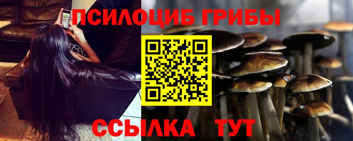 Псилоцибиновые грибы мицелий  Псилоцибиновые грибы мицелий  Рузаевка 